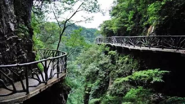 点名了！将获国家重点支持快来看看有你家乡的吗？冰球突破爆百万大奖重磅！陕西这27个项目被中央(图27)