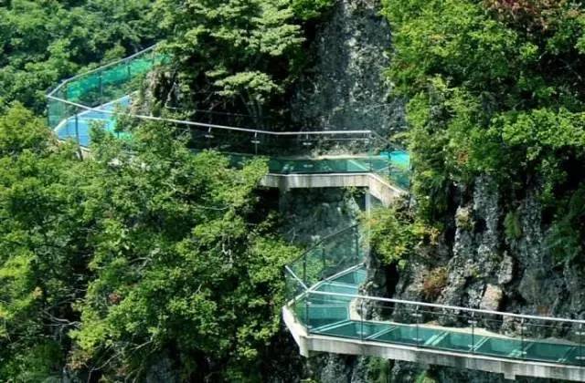 点名了！将获国家重点支持快来看看有你家乡的吗？冰球突破爆百万大奖重磅！陕西这27个项目被中央(图35)